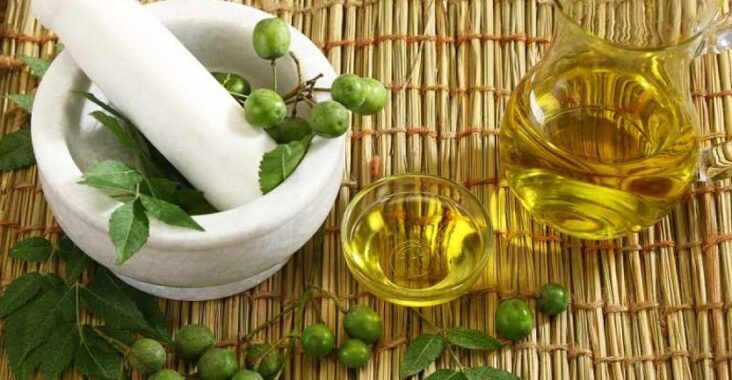 huile de neem croissance cheveux