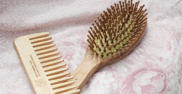 meilleurs peignes en bois