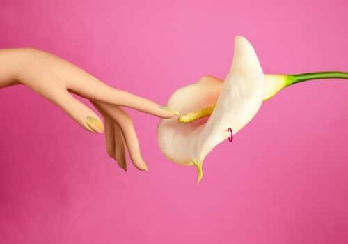 meilleurs sextoys femme
