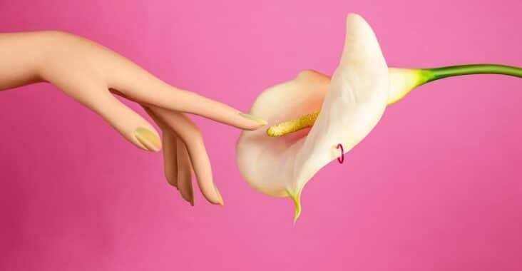 meilleurs sextoys femme