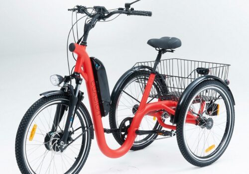 meilleur tricycle adulte