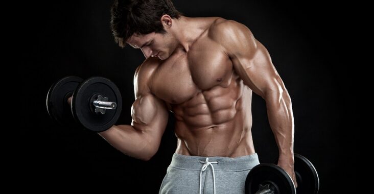 meilleurs poids musculation