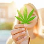consommation cbd