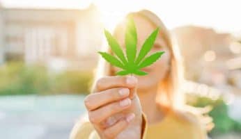 consommation cbd