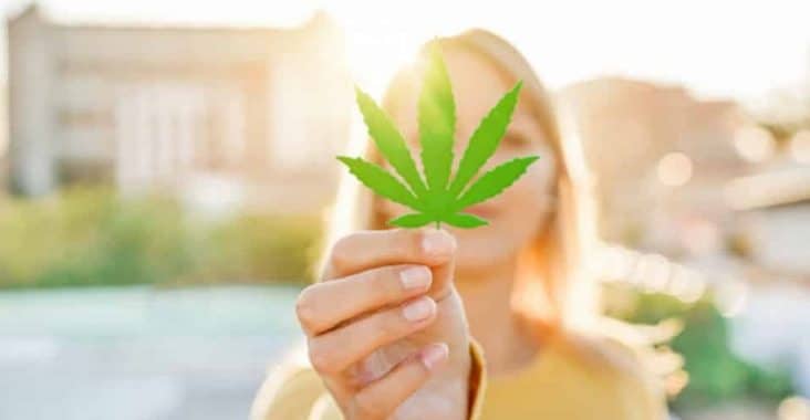 consommation cbd